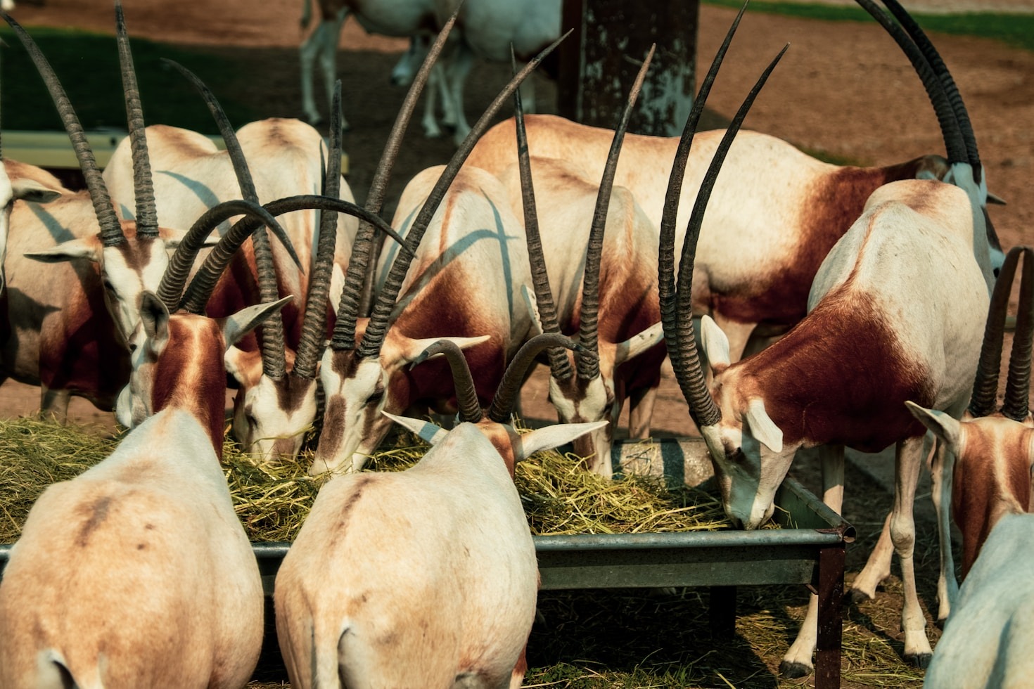 A Closer Look at Altagrial’s Cutting-edge Products